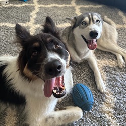 Leo and Luna