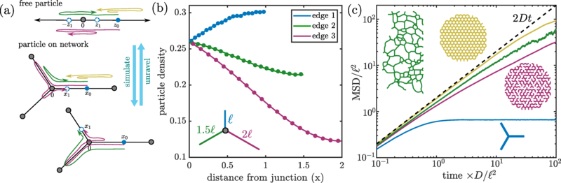 Unraveling trajectories of diffusive particles on networks